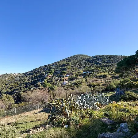 Nyaraló Elena - Helloelba